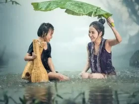 kota wonosobo, profil kota wonosobo, sejarah kota wonosobo, ibu kota kabupaten wonosobo, populasi kota wonosobo, peta kota wonosobo, kota wonosobo dalam angka, kota wonosobo dalam statistik, kota wonosobo dalam data, kota wonosobo dalam sejarah, dataran tinggi dieng, kawah sikidang, candi arjuna, telaga warna, bukit sikunir, festival balon udara dieng, festival dieng culture, wisata wonosobo, wisata alam wonosobo, wisata budaya wonosobo, kota gaplek, kota carica, kota apel, kuliner wonosobo, mie ongklok, carica wonosobo, apel wonosobo, olahan gaplek, oleh-oleh khas wonosobo, produk pertanian wonosobo, kerajinan gerabah wonosobo, batik wonosobo, kontes sansevieria wonosobo, kota bunga wonosobo, industri kreatif wonosobo, produk lokal wonosobo, desa wisata wonosobo, ekonomi kreatif wonosobo, pariwisata wonosobo, usaha mikro wonosobo, berita kota wonosobo, info kota wonosobo, update kota wonosobo, pemerintah kota wonosobo, agenda kota wonosobo, kegiatan pemkot wonosobo, berita terkini wonosobo, kebijakan pemkot wonosobo, isu lokal kota wonosobo, pembangunan kota wonosobo