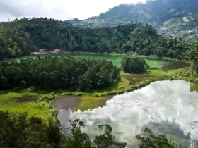 kota wonosobo, profil kota wonosobo, sejarah kota wonosobo, ibu kota kabupaten wonosobo, populasi kota wonosobo, peta kota wonosobo, kota wonosobo dalam angka, kota wonosobo dalam statistik, kota wonosobo dalam data, kota wonosobo dalam sejarah, dataran tinggi dieng, kawah sikidang, candi arjuna, telaga warna, bukit sikunir, festival balon udara dieng, festival dieng culture, wisata wonosobo, wisata alam wonosobo, wisata budaya wonosobo, kota gaplek, kota carica, kota apel, kuliner wonosobo, mie ongklok, carica wonosobo, apel wonosobo, olahan gaplek, oleh-oleh khas wonosobo, produk pertanian wonosobo, kerajinan gerabah wonosobo, batik wonosobo, kontes sansevieria wonosobo, kota bunga wonosobo, industri kreatif wonosobo, produk lokal wonosobo, desa wisata wonosobo, ekonomi kreatif wonosobo, pariwisata wonosobo, usaha mikro wonosobo, berita kota wonosobo, info kota wonosobo, update kota wonosobo, pemerintah kota wonosobo, agenda kota wonosobo, kegiatan pemkot wonosobo, berita terkini wonosobo, kebijakan pemkot wonosobo, isu lokal kota wonosobo, pembangunan kota wonosobo