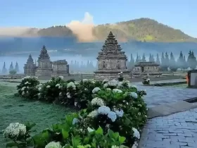kota wonosobo, profil kota wonosobo, sejarah kota wonosobo, ibu kota kabupaten wonosobo, populasi kota wonosobo, peta kota wonosobo, kota wonosobo dalam angka, kota wonosobo dalam statistik, kota wonosobo dalam data, kota wonosobo dalam sejarah, dataran tinggi dieng, kawah sikidang, candi arjuna, telaga warna, bukit sikunir, festival balon udara dieng, festival dieng culture, wisata wonosobo, wisata alam wonosobo, wisata budaya wonosobo, kota gaplek, kota carica, kota apel, kuliner wonosobo, mie ongklok, carica wonosobo, apel wonosobo, olahan gaplek, oleh-oleh khas wonosobo, produk pertanian wonosobo, kerajinan gerabah wonosobo, batik wonosobo, kontes sansevieria wonosobo, kota bunga wonosobo, industri kreatif wonosobo, produk lokal wonosobo, desa wisata wonosobo, ekonomi kreatif wonosobo, pariwisata wonosobo, usaha mikro wonosobo, berita kota wonosobo, info kota wonosobo, update kota wonosobo, pemerintah kota wonosobo, agenda kota wonosobo, kegiatan pemkot wonosobo, berita terkini wonosobo, kebijakan pemkot wonosobo, isu lokal kota wonosobo, pembangunan kota wonosobo