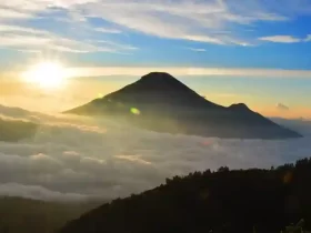 kota wonosobo, profil kota wonosobo, sejarah kota wonosobo, ibu kota kabupaten wonosobo, populasi kota wonosobo, peta kota wonosobo, kota wonosobo dalam angka, kota wonosobo dalam statistik, kota wonosobo dalam data, kota wonosobo dalam sejarah, dataran tinggi dieng, kawah sikidang, candi arjuna, telaga warna, bukit sikunir, festival balon udara dieng, festival dieng culture, wisata wonosobo, wisata alam wonosobo, wisata budaya wonosobo, kota gaplek, kota carica, kota apel, kuliner wonosobo, mie ongklok, carica wonosobo, apel wonosobo, olahan gaplek, oleh-oleh khas wonosobo, produk pertanian wonosobo, kerajinan gerabah wonosobo, batik wonosobo, kontes sansevieria wonosobo, kota bunga wonosobo, industri kreatif wonosobo, produk lokal wonosobo, desa wisata wonosobo, ekonomi kreatif wonosobo, pariwisata wonosobo, usaha mikro wonosobo, berita kota wonosobo, info kota wonosobo, update kota wonosobo, pemerintah kota wonosobo, agenda kota wonosobo, kegiatan pemkot wonosobo, berita terkini wonosobo, kebijakan pemkot wonosobo, isu lokal kota wonosobo, pembangunan kota wonosobo