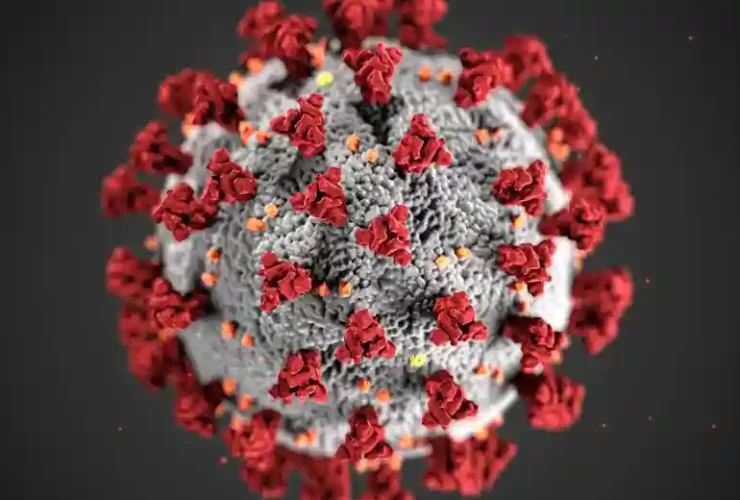 Kota Wonosobo Wajib Tahu Hal Yang Harus Diketahui Tentang Penyakit HIV 48 kotawonosobodotcom